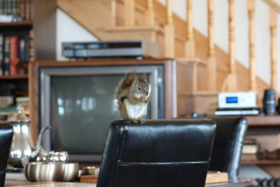 little guy on chair 648.JPG